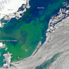 Jan11 Phytoplankton Bloom Ross Sea_web
